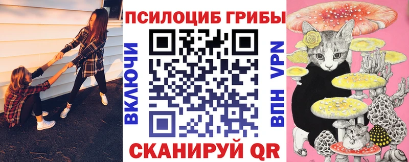 купить наркоту  Лакинск  Псилоцибиновые грибы мицелий 